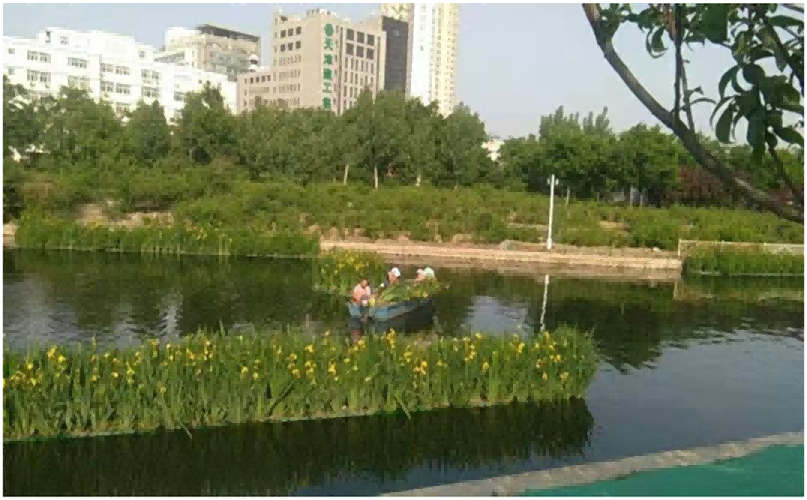 河道治理